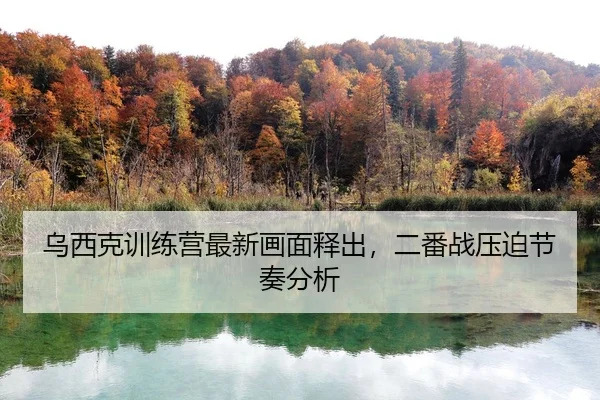 wu-xi-ke-xun-lian-ying-zui-xin-hua-mian-shi-chu-er-fan-zhan-ya-po-jie-zou-fen-xi-2-840.jpg