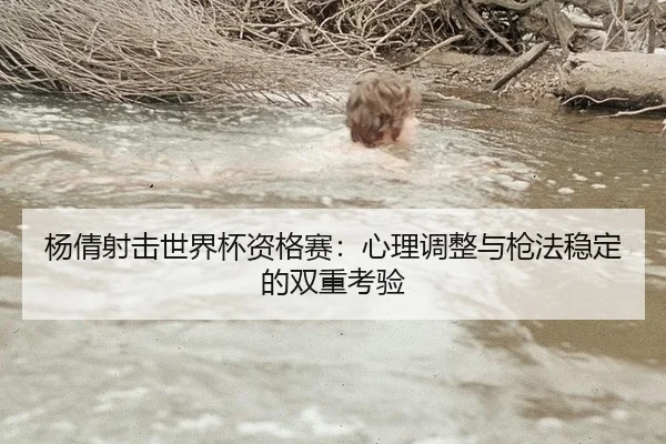 杨倩射击世界杯资格赛：心理调整与枪法稳定的双重考验