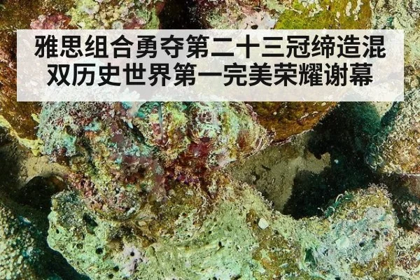 雅思组合勇夺第二十三冠缔造混双历史世界第一完美荣耀谢幕