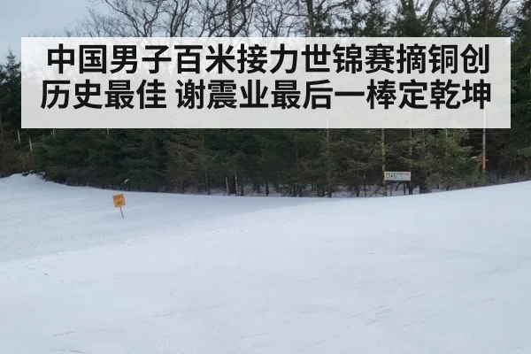 中国男子百米接力世锦赛摘铜创历史最佳 谢震业最后一棒定乾坤